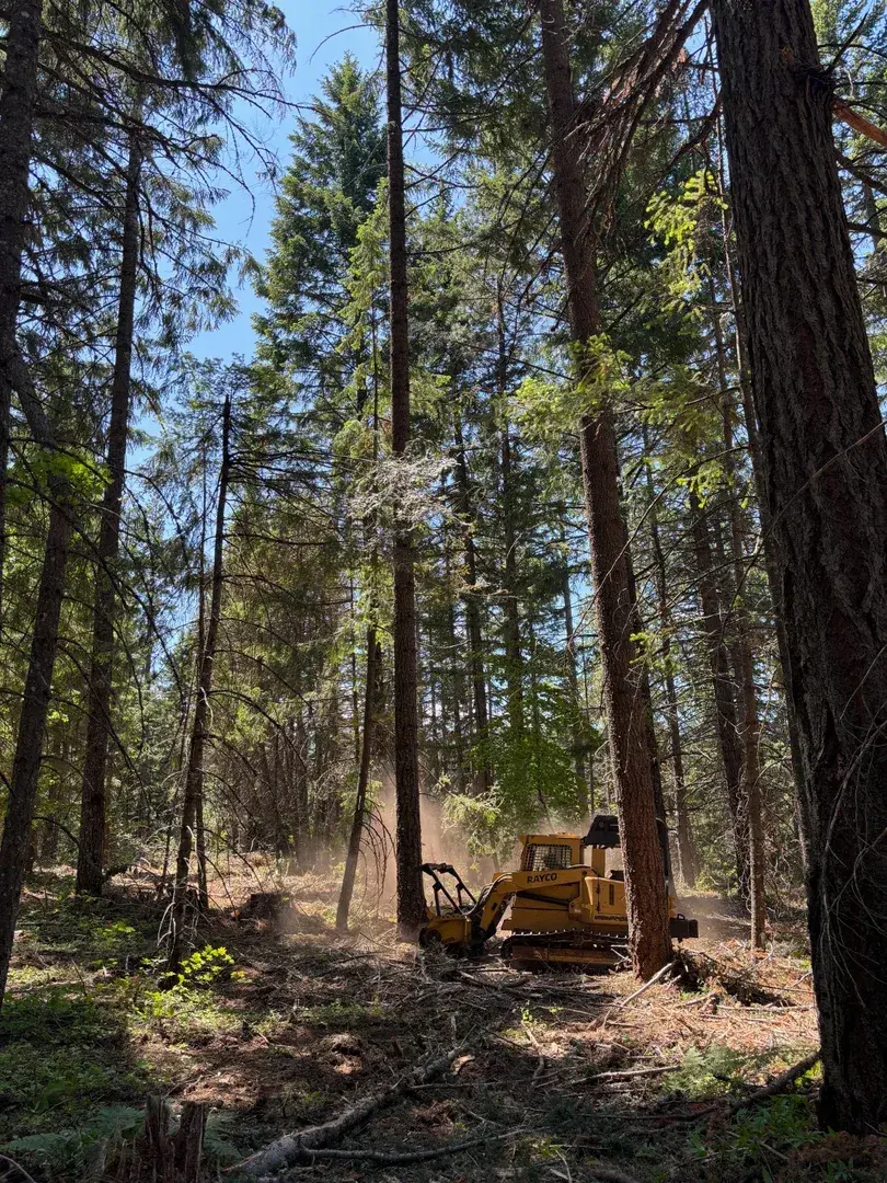 Forestry machinery working on a wooded hillside