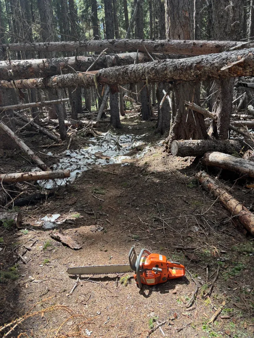 Chainsaw Trail Clearing