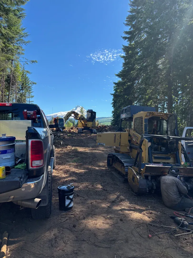 Mechanical Mastication Project