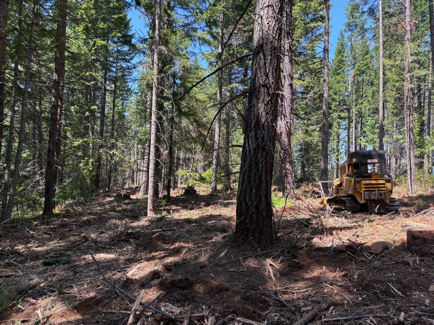 Vegetation Management